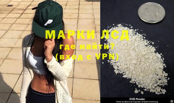 трава Белокуриха