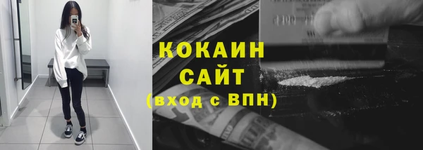 трава Белокуриха
