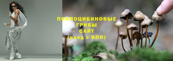 прущая мука Белоозёрский