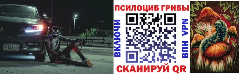 купить наркотики цена  Мичуринск  блэк спрут tor  Псилоцибиновые грибы MAGIC MUSHROOMS 